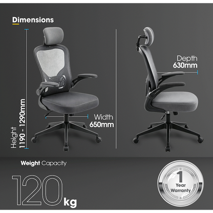 Everfurn Stagio Ergo Office Chair - High Back - Grey