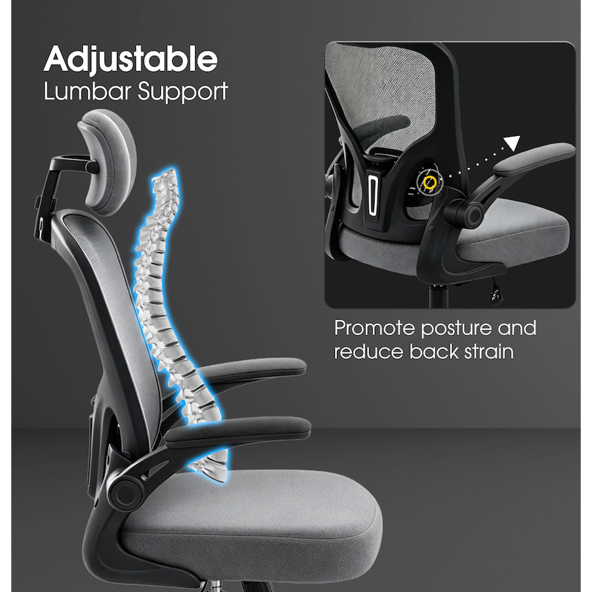 Everfurn Stagio Ergo Office Chair - High Back - Grey