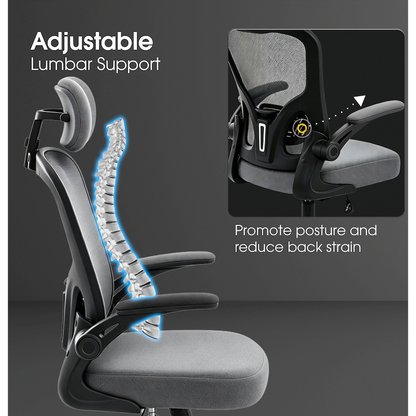Everfurn Stagio Ergo Office Chair - High Back - Grey